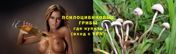 а пвп мука Лиски