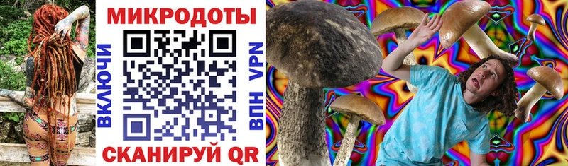 это официальный сайт Бийск Псилоцибиновые грибы Cubensis где найти наркотики