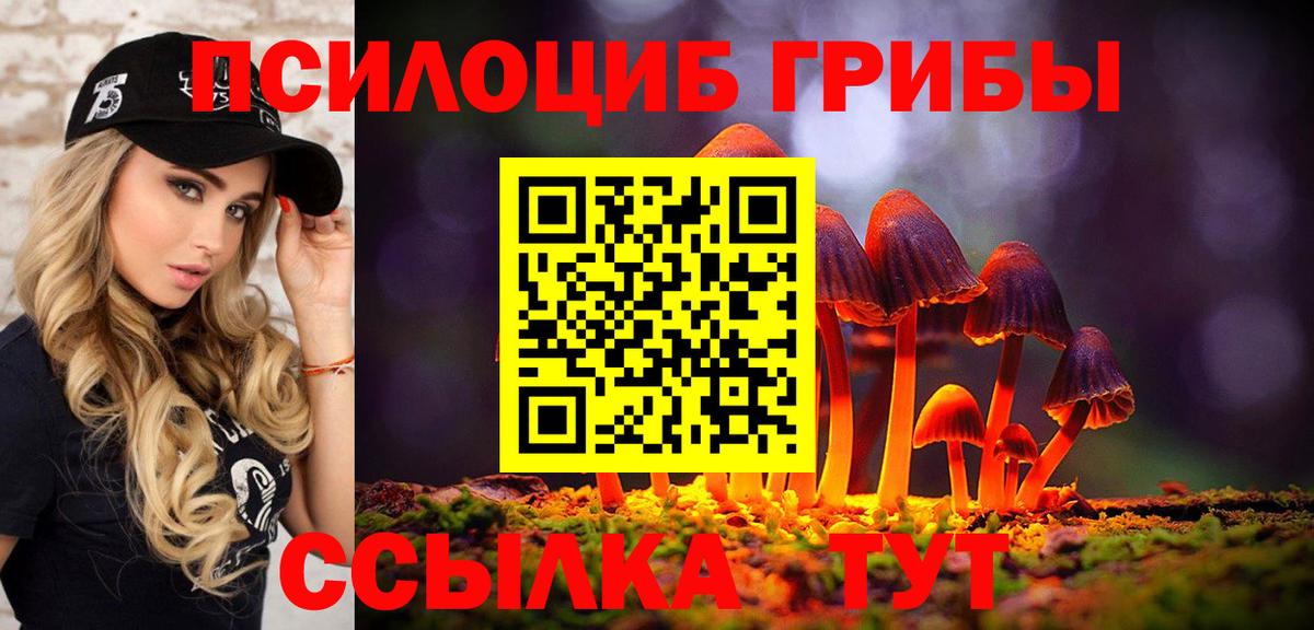 Псилоцибиновые грибы Psilocybine cubensis  Бийск 