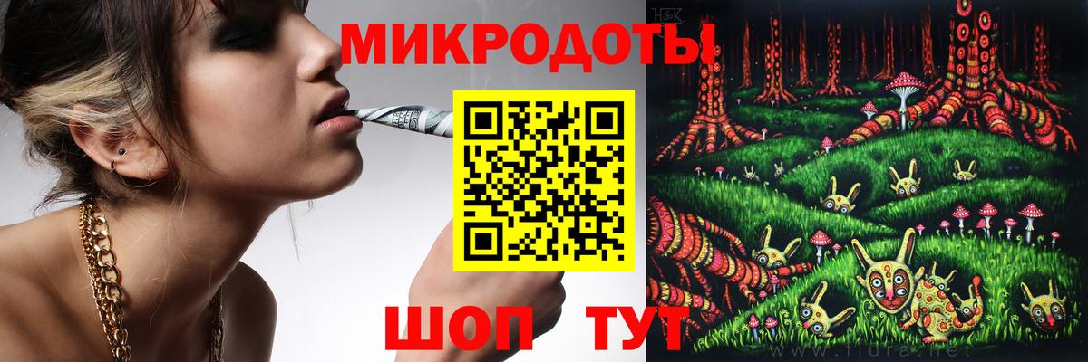 Псилоцибиновые грибы Psilocybine cubensis Бийск