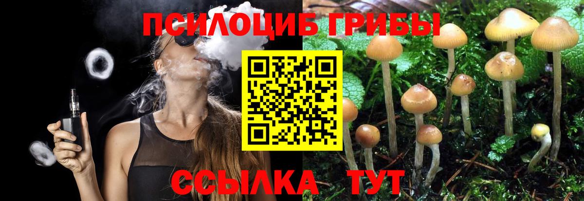 Бийск  наркота  Псилоцибиновые грибы Cubensis  Вход с VPN  Галлюциногенные грибы MAGIC MUSHROOMS 