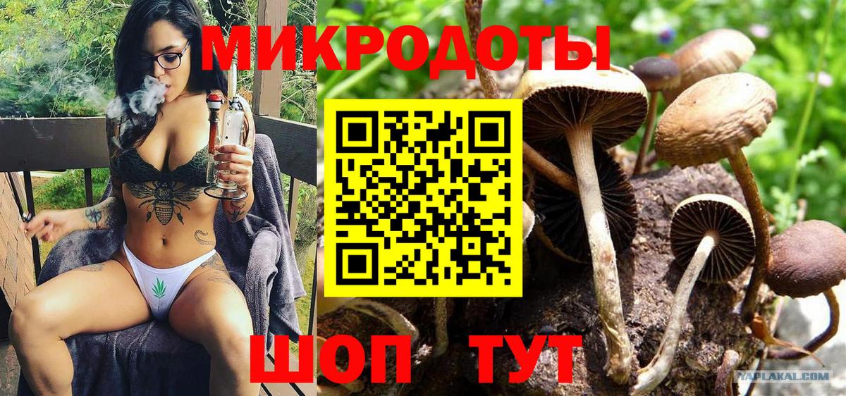 Галлюциногенные грибы мухоморы Бийск